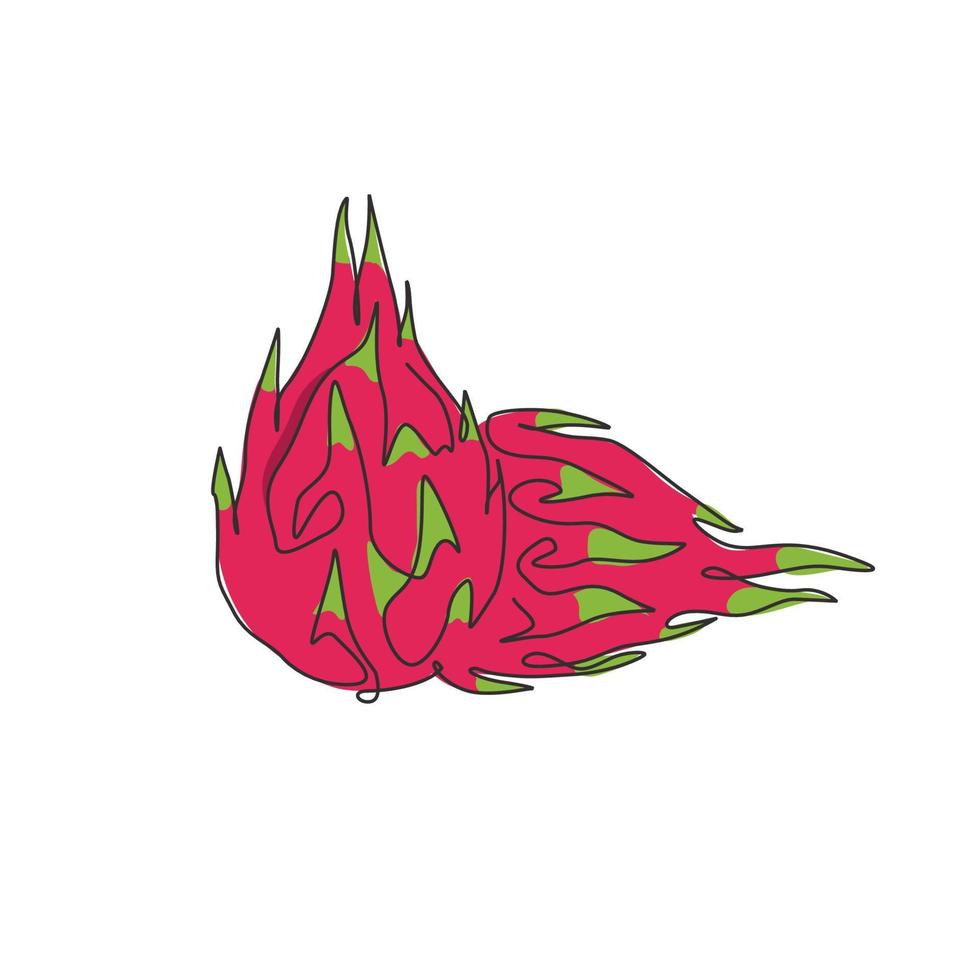 One continuous line drawing of whole healthy organic dragon fruit for orchard logo identity. Fresh dragonfruit concept for fruit garden icon. Modern single line draw graphic design vector illustration