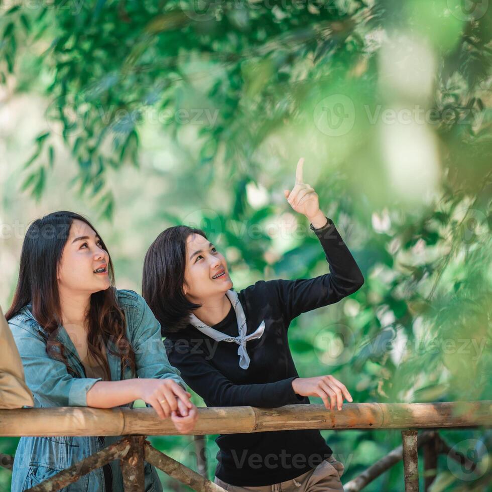 group  young women looking beautiful nature while camping in forest photo