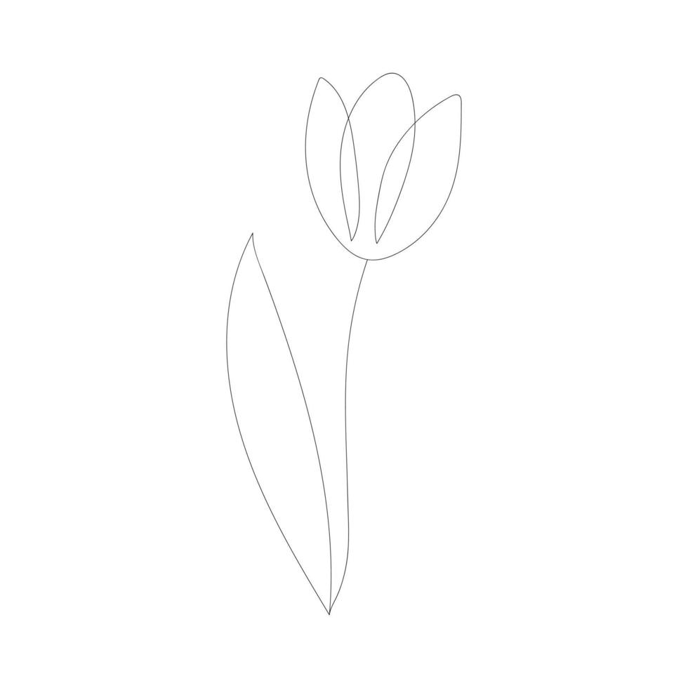 Tulip flower with one continuous line vector