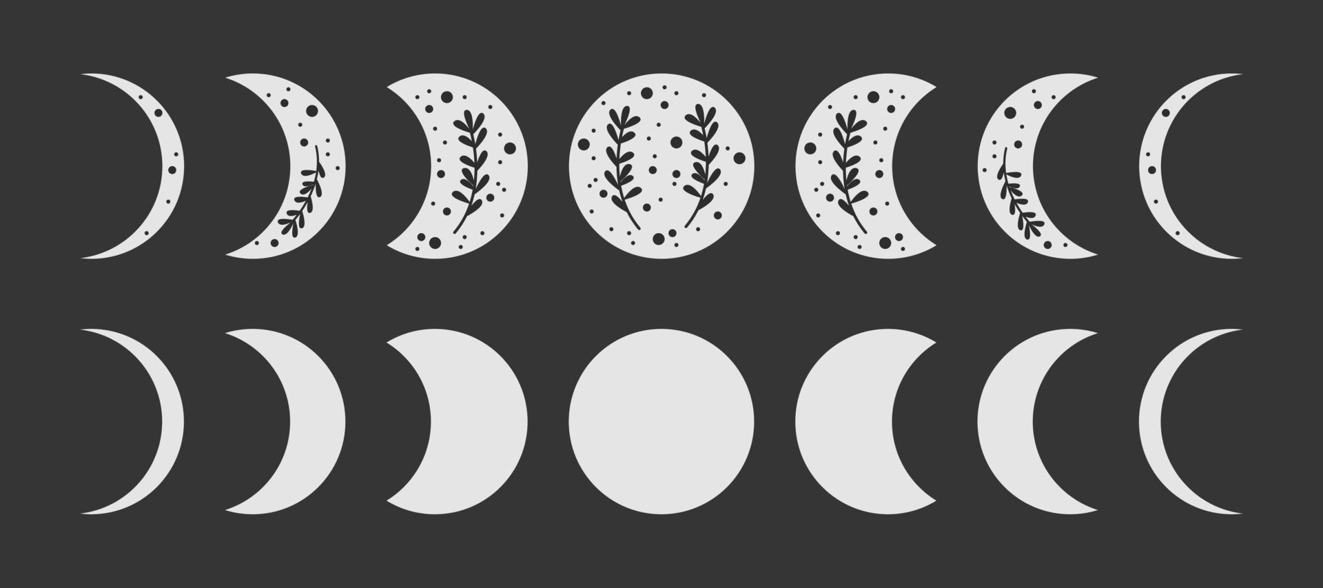 Moon Phase Icons With Plants Vector 20382642 Vector Art At Vecteezy