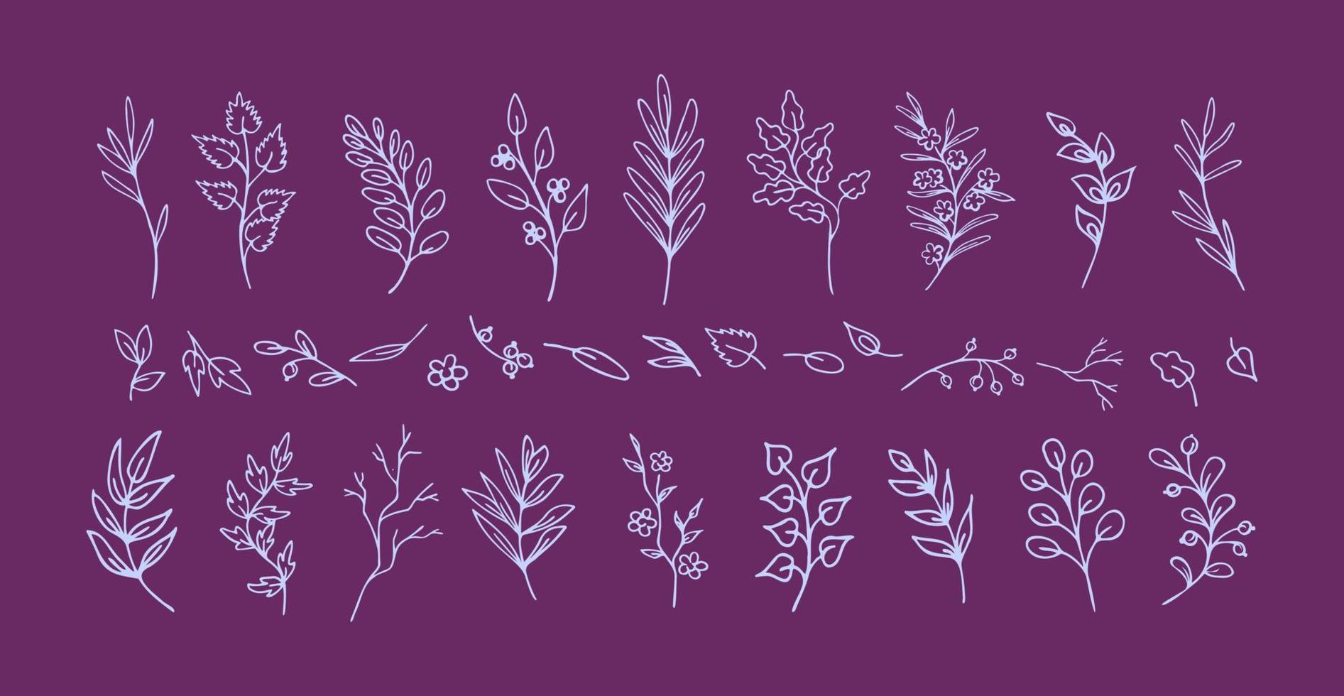 Set of hand drawn lilac leaves and twigs, fantasy branches, on violet background. Elegant natural design vignettes. Collection of isolated romantic flourish dividers and decorations for prints vector