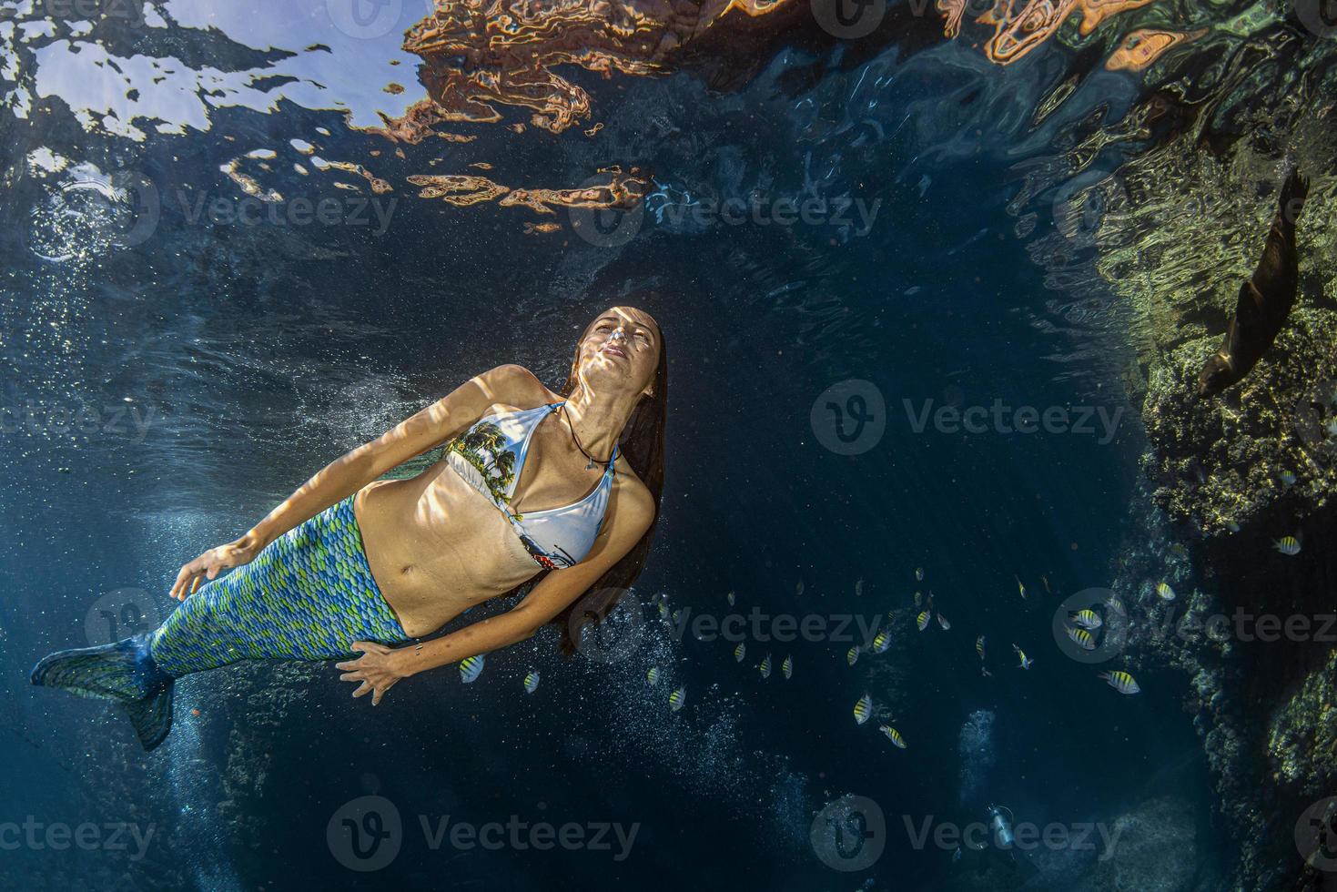 Mermaid swimming underwater in the deep blue sea photo