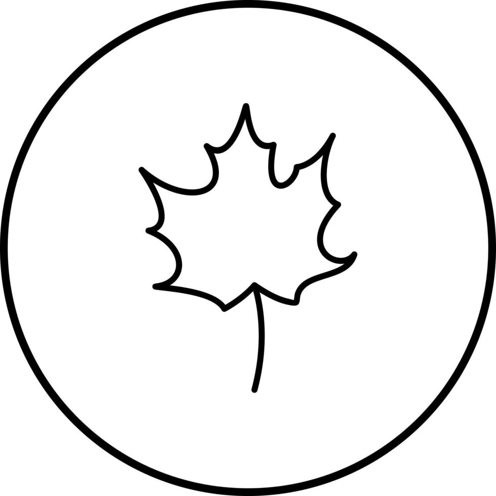 Autumn Leaf Vector Icon
