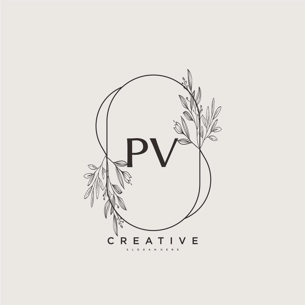 pv belleza vector inicial logo arte, escritura logo de inicial firma, boda, moda, joyería, boutique, floral y botánico con creativo modelo para ninguna empresa o negocio.