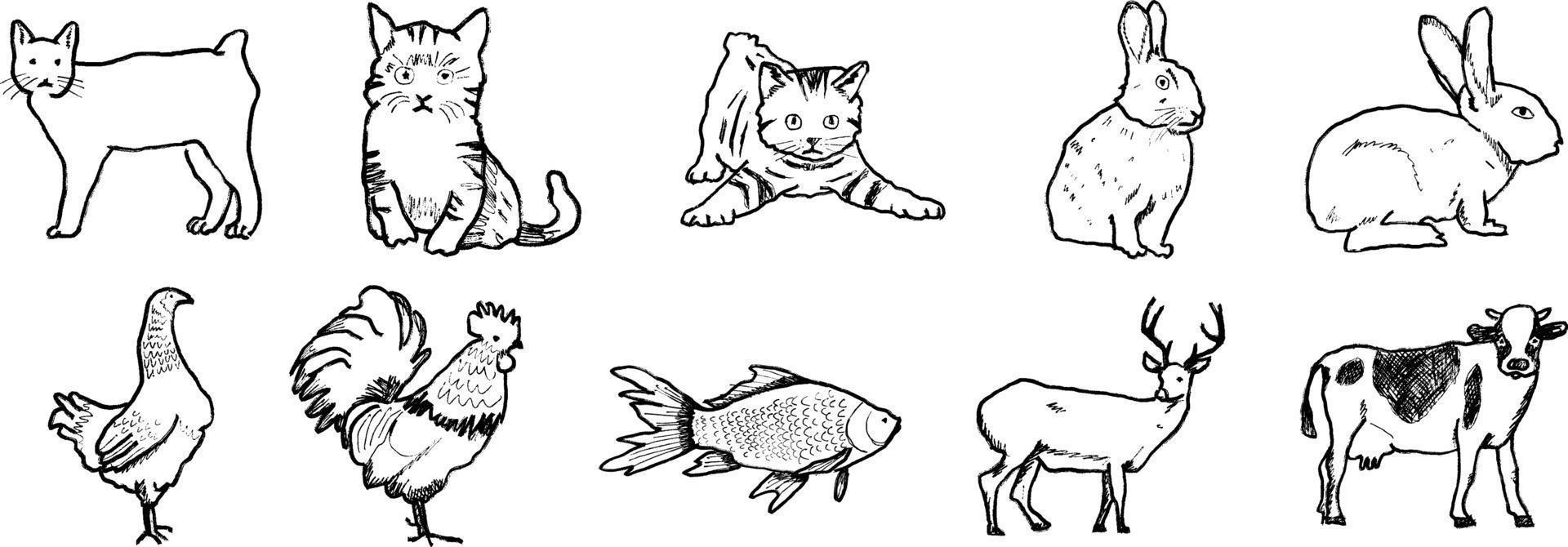 Hand Draw Pet Animals vector