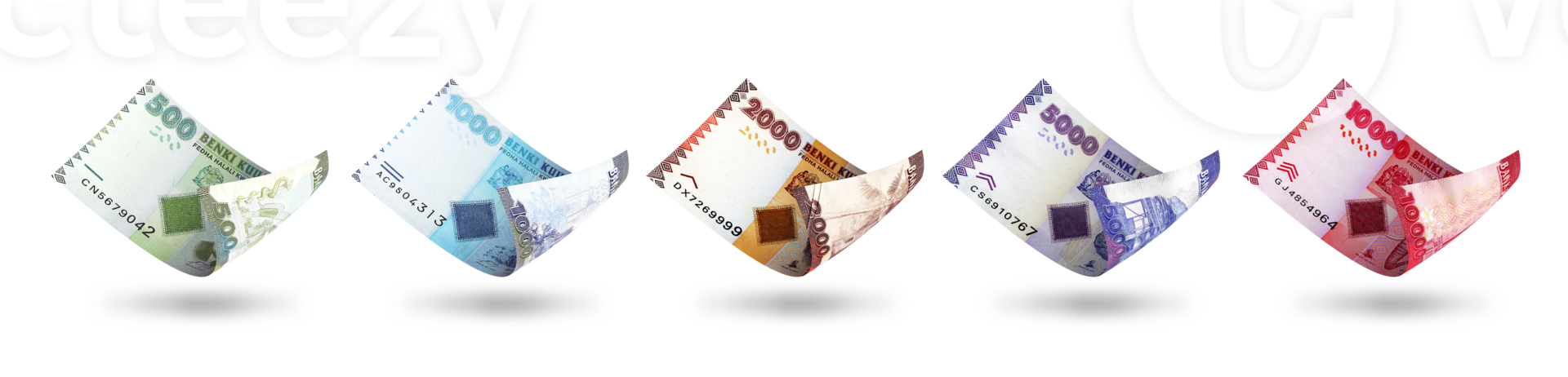 conjunto do tanzaniano xelim notas dentro diferente denominações. 3d ilustração png