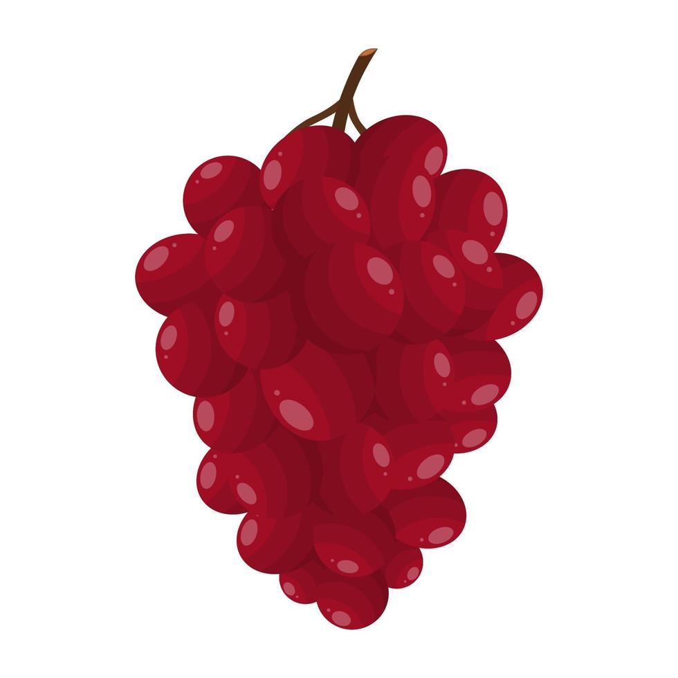 Red Grapes, Grapes That Are Delicious, Refreshing And Sweet Which Are Very Beneficial For Health vector