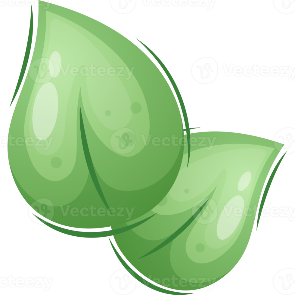 feuilles vertes de dessin animé png