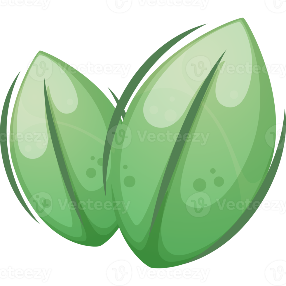 Cartoon Green Leaves png