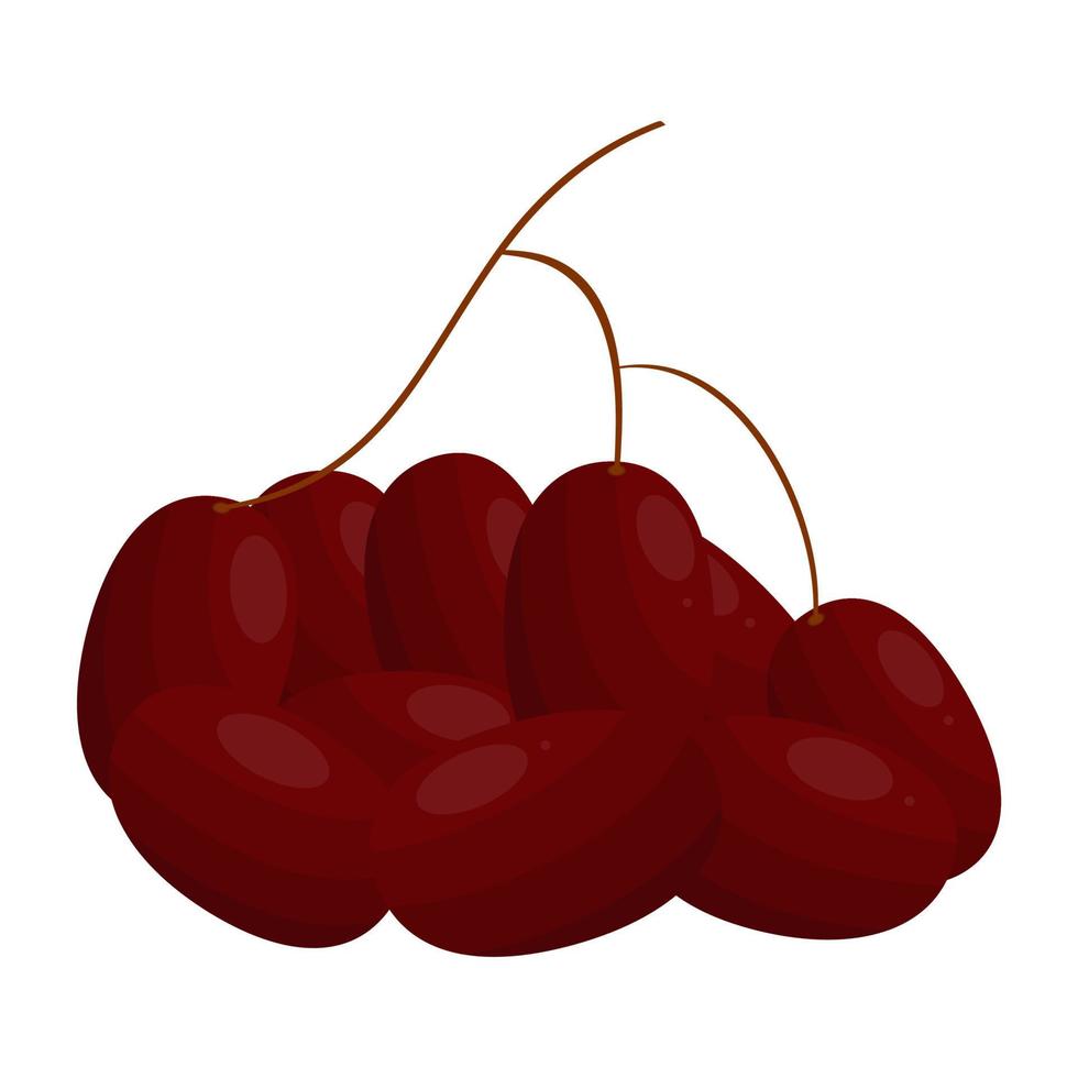 oval uvas, uvas son dulce, sabroso y refrescante Fruta ese Contiene bueno beneficios para salud vector