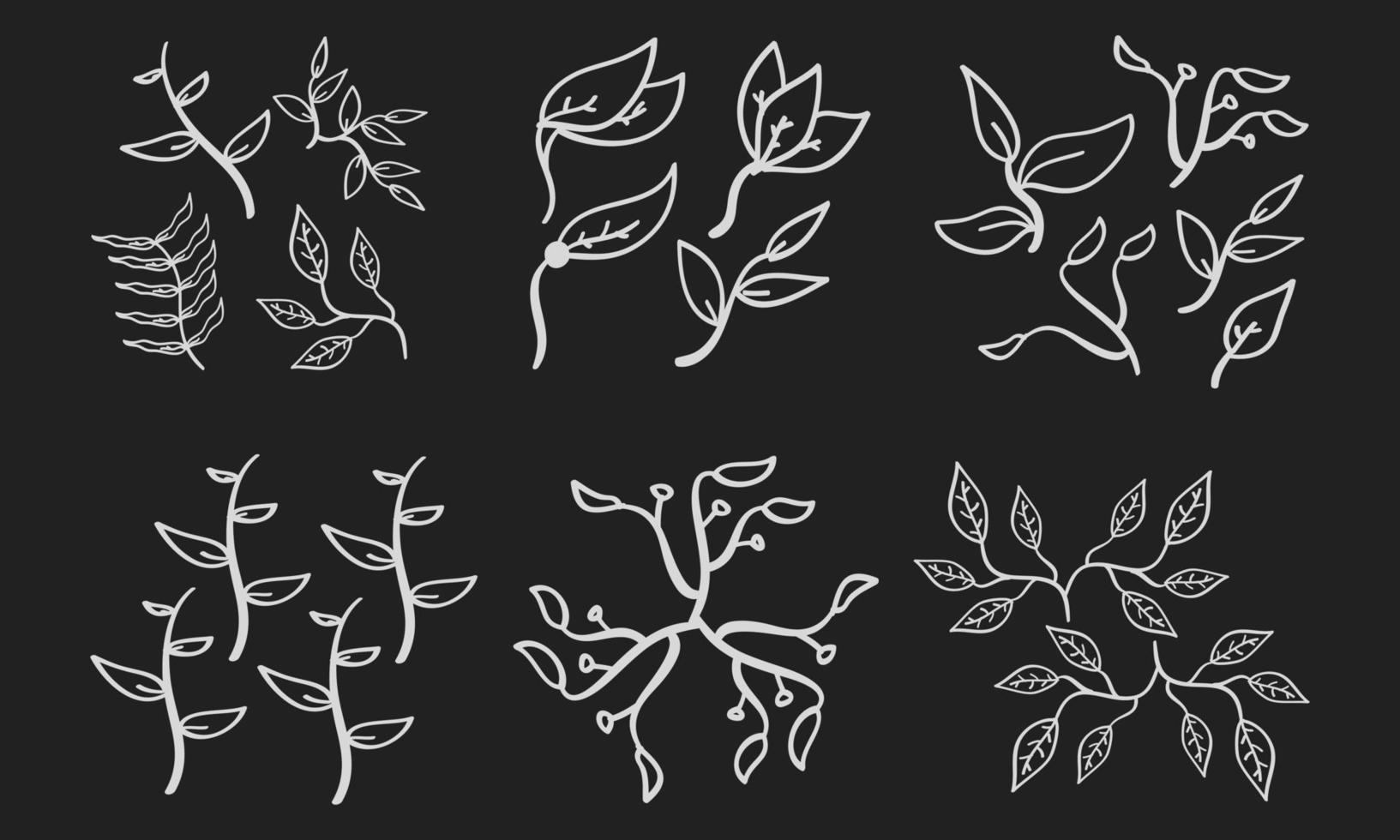 Hand drawn leaf icon on chalkboard vector