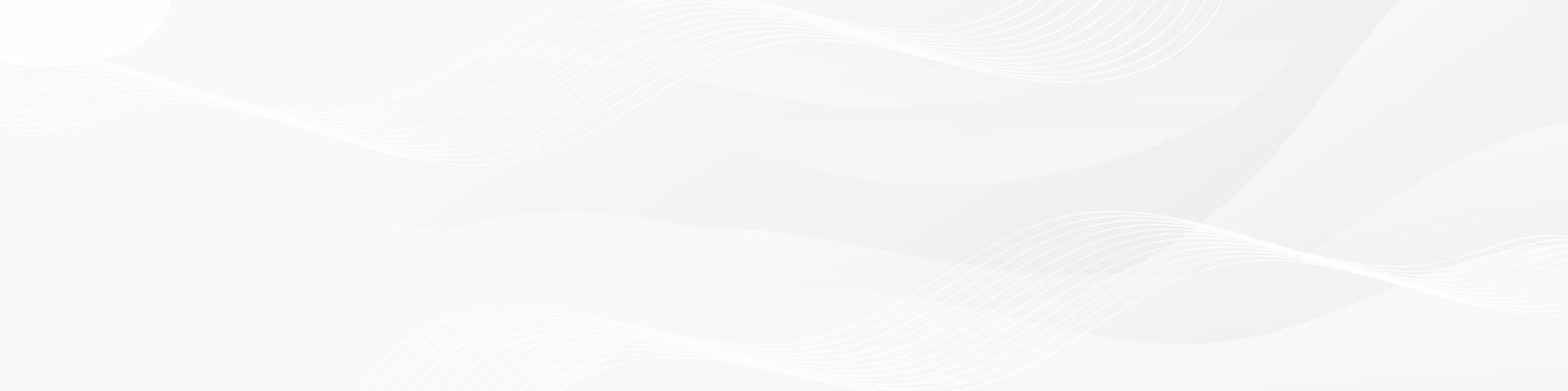 Abstract White Fluid Wave Banner Template vector