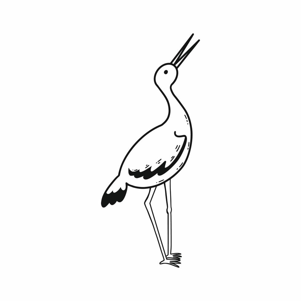 Stork. Vector doodle illustration. Beautiful bird. Hand drawn sketch.