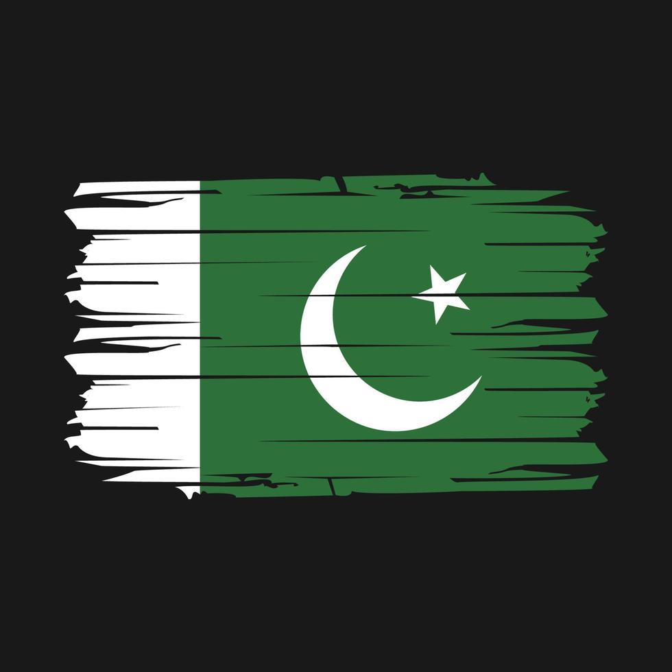 Pakistan Flag Brush Vector
