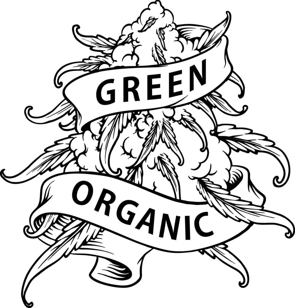 verde orgánico canabis hoja planta logo silueta vector ilustraciones para tu trabajo logo, mercancías camiseta, pegatinas y etiqueta diseños, póster, saludo tarjetas publicidad negocio empresa