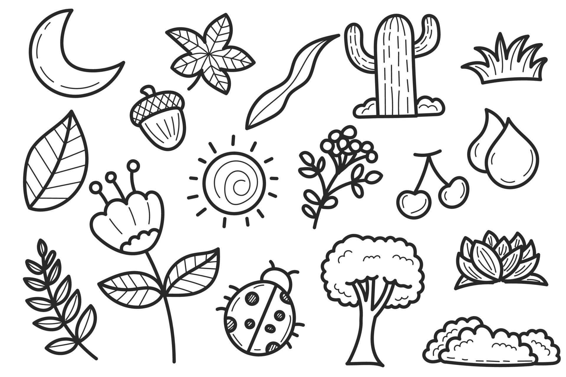 Premium Vector  Natural plant doodle art drawing