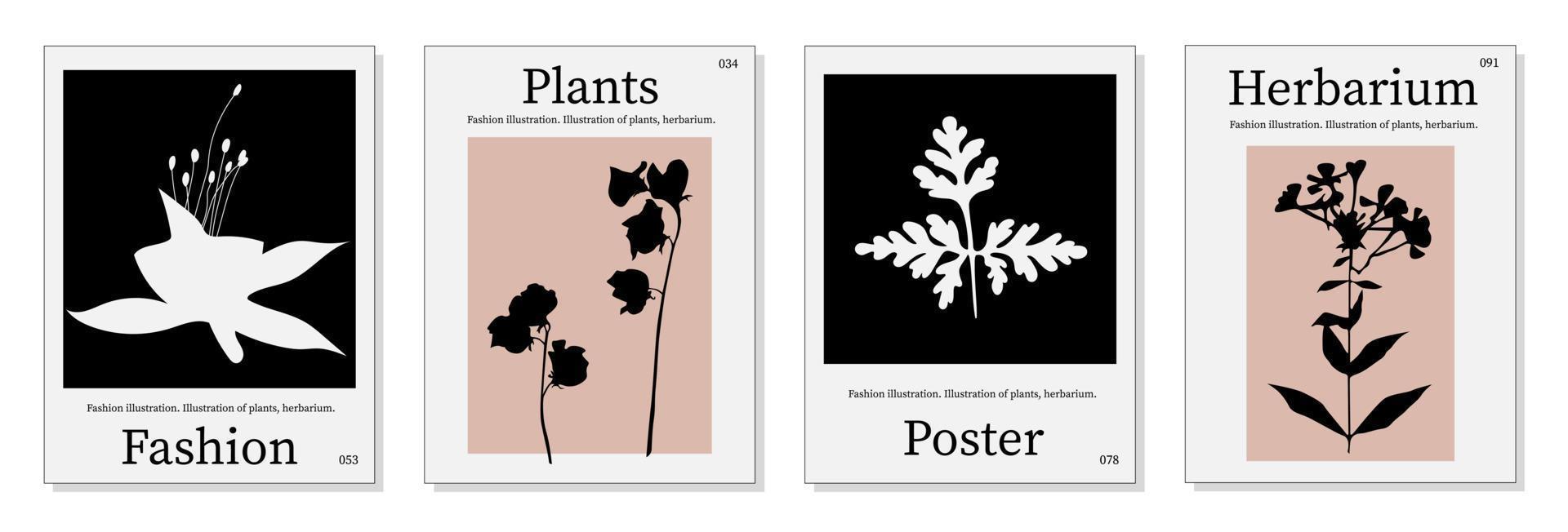 Dried flowers set. Interior painting, home comfort. Colorful illustrations of dried flowers for covers, pictures. Vector illustration.