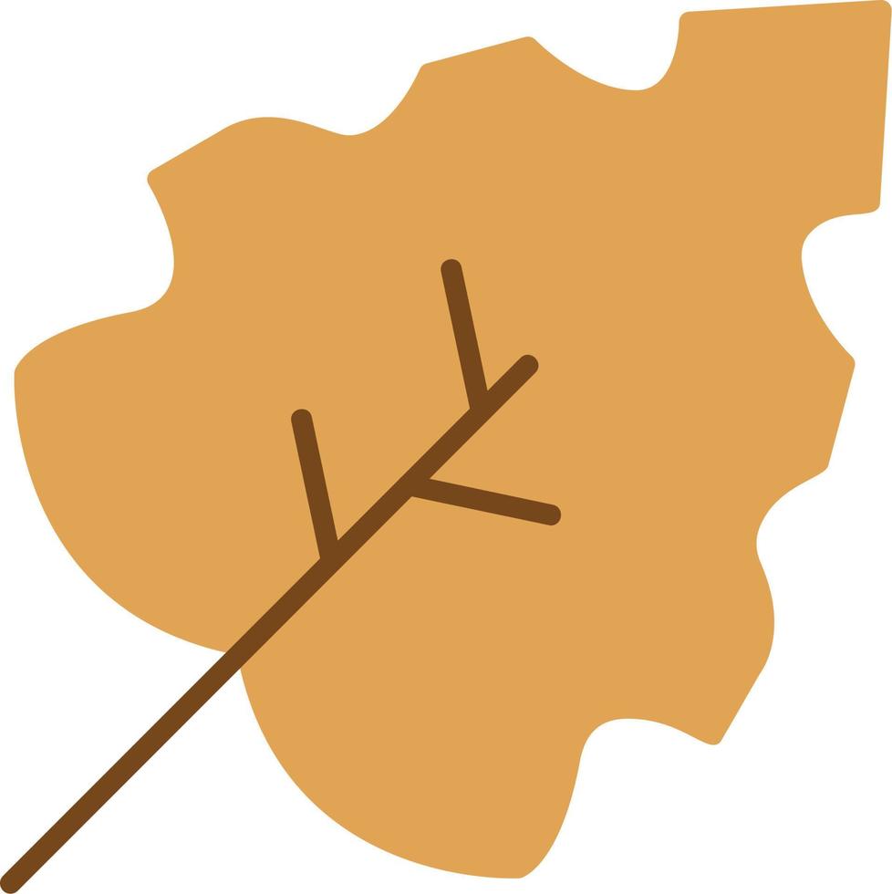 Autumn leaf Vector Icon