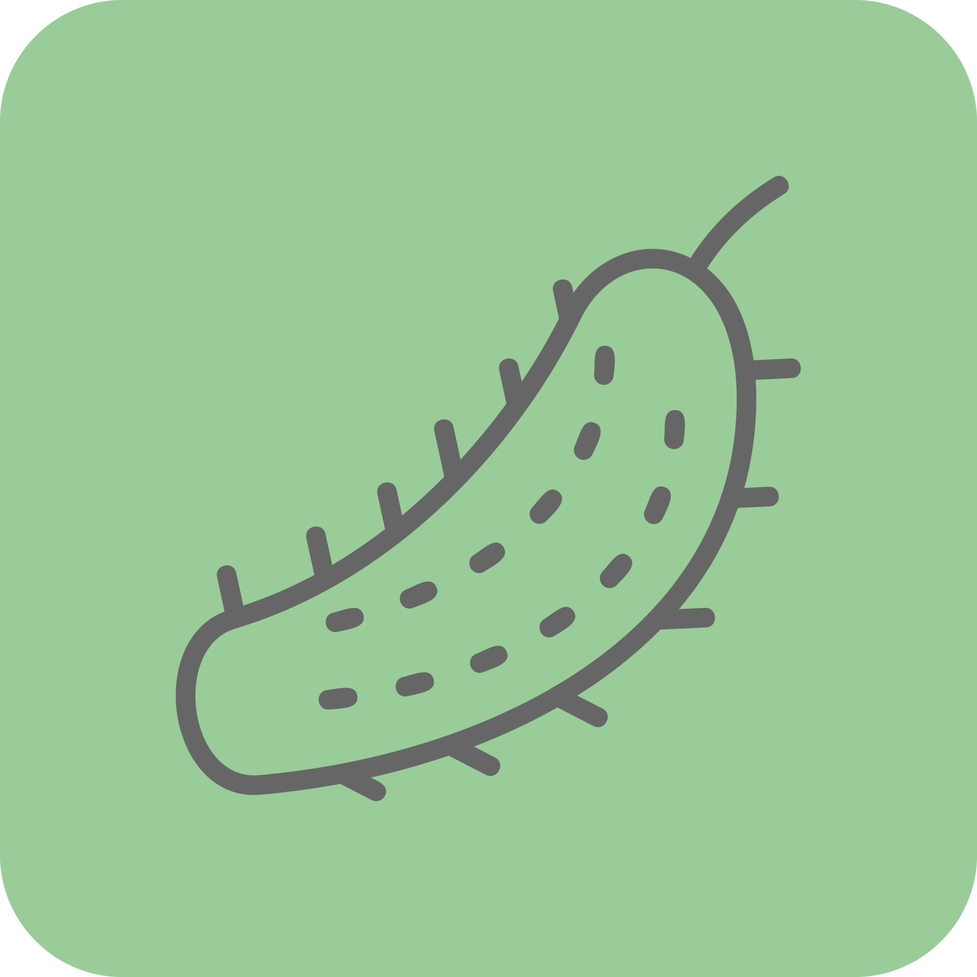 Pickle Vector Icon Design 20402325 Vector Art At Vecteezy Pickle Vector Icon Design 20402325 Vector Art At Vecteezy