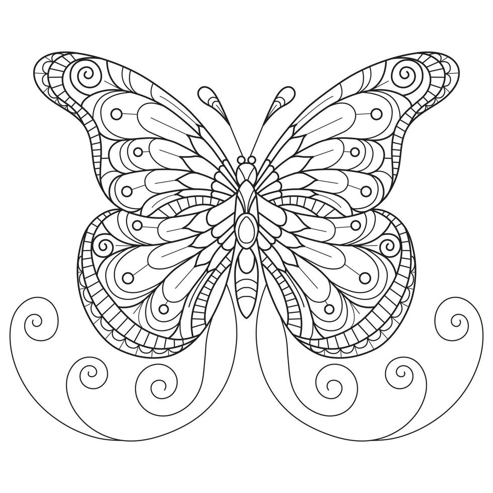 Butterfly hand drawn for adult coloring book vector