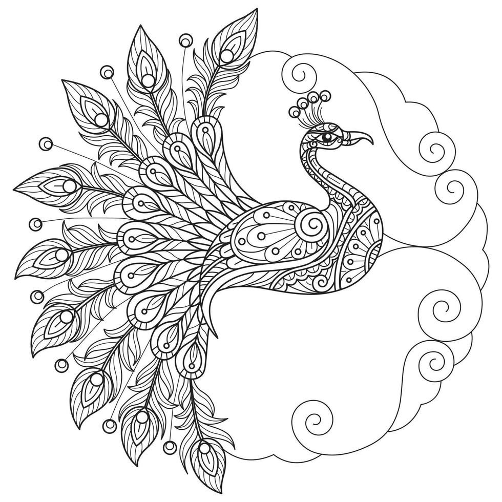 Peacock hand drawn for adult coloring book vector