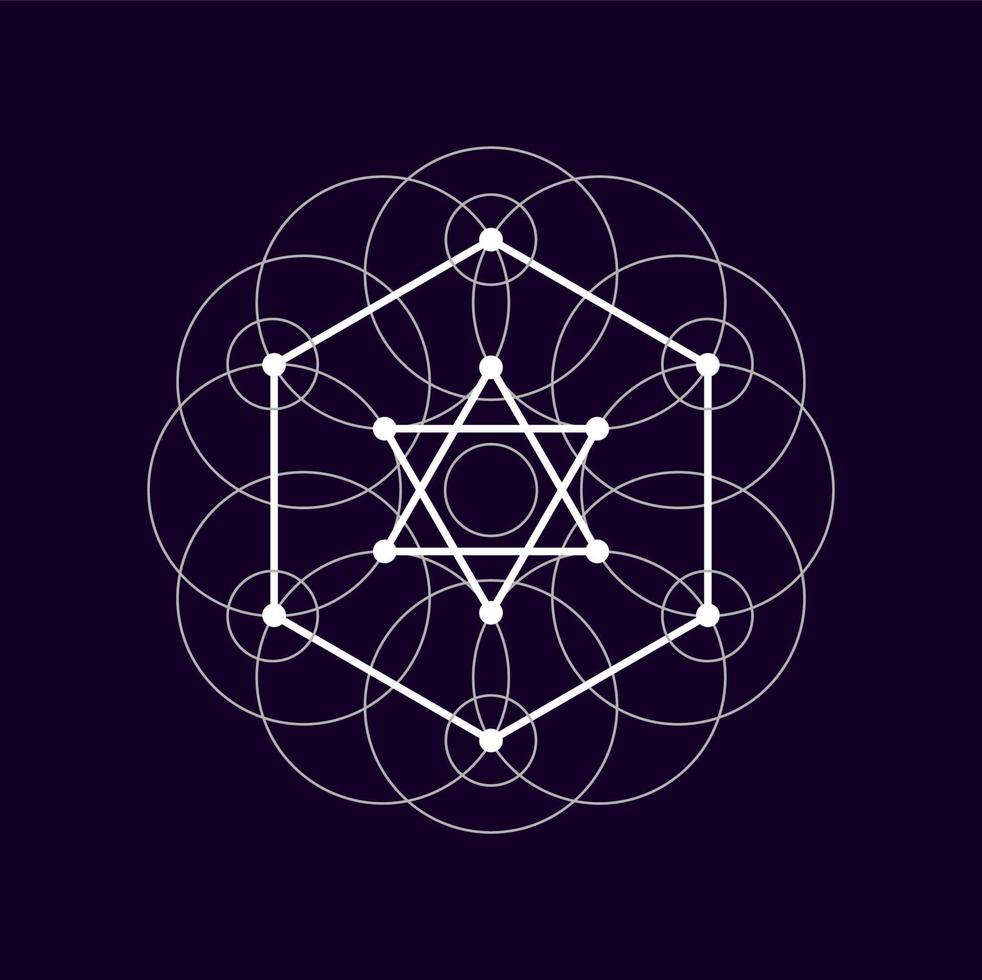 Alchemy sacred sign isolated geometric magic shape vector