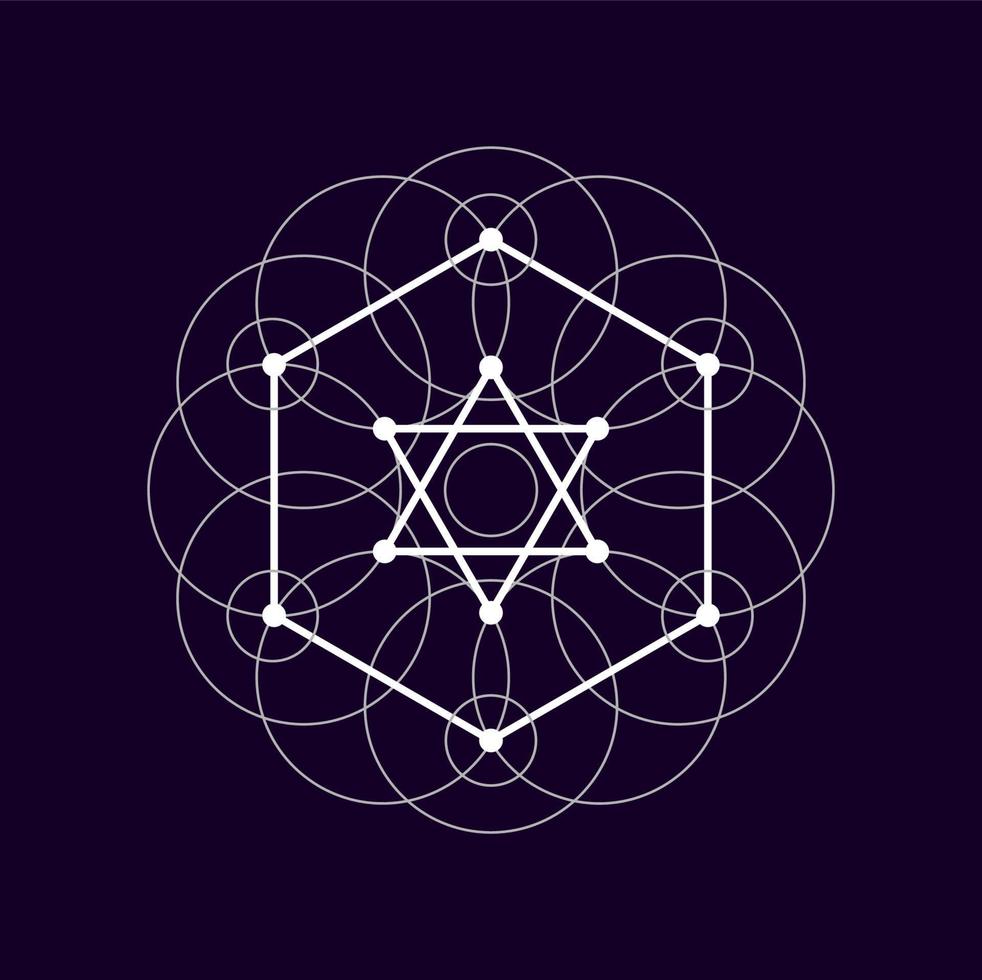 Alchemy sacred sign isolated geometric magic shape vector