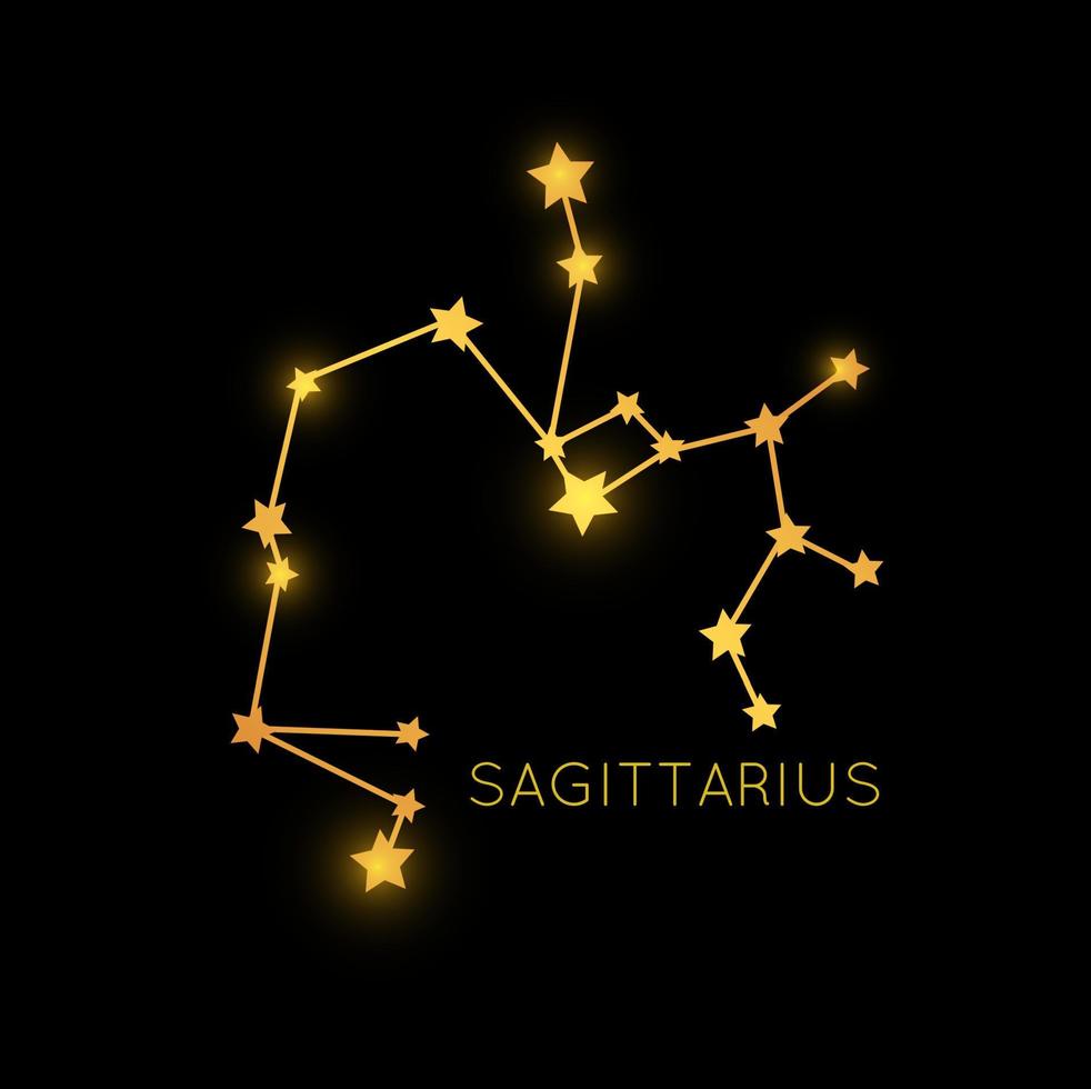 Sagitario dorado constelación en noche cielo vector