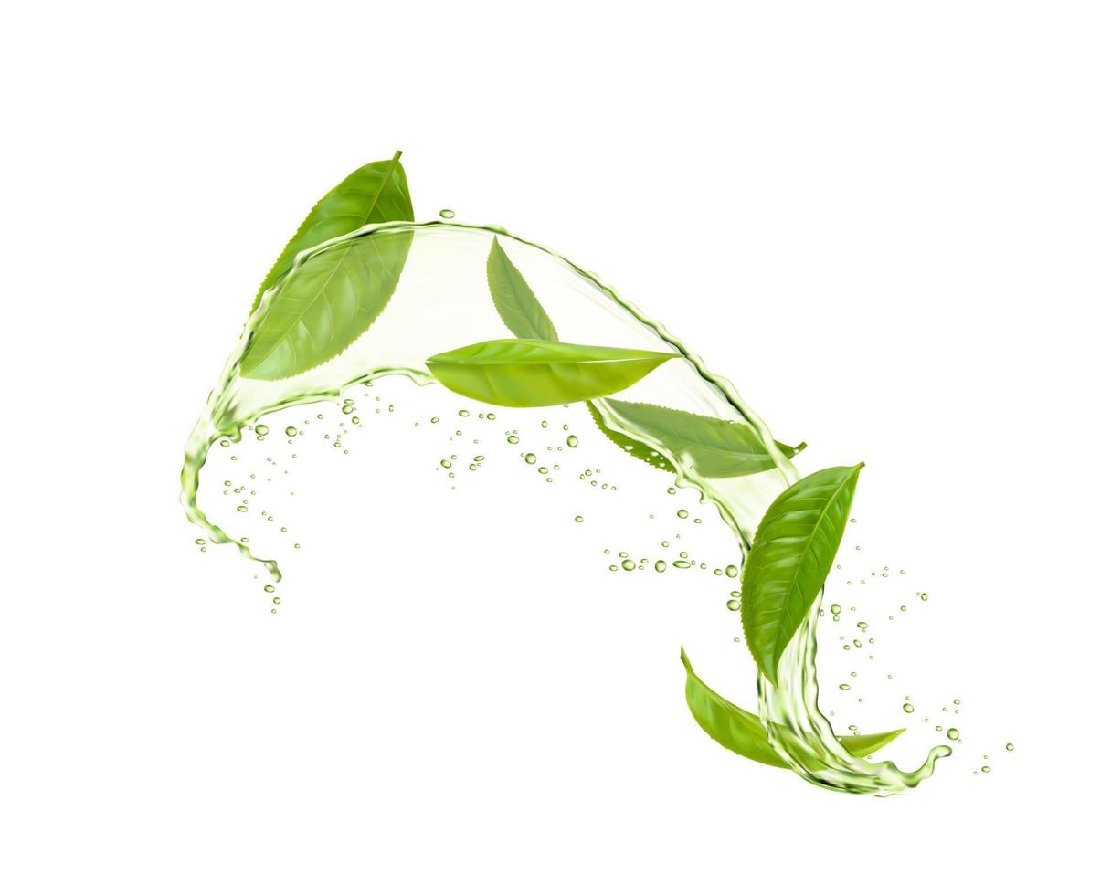 Herbal drink wave splash, green tea leaves, water vector