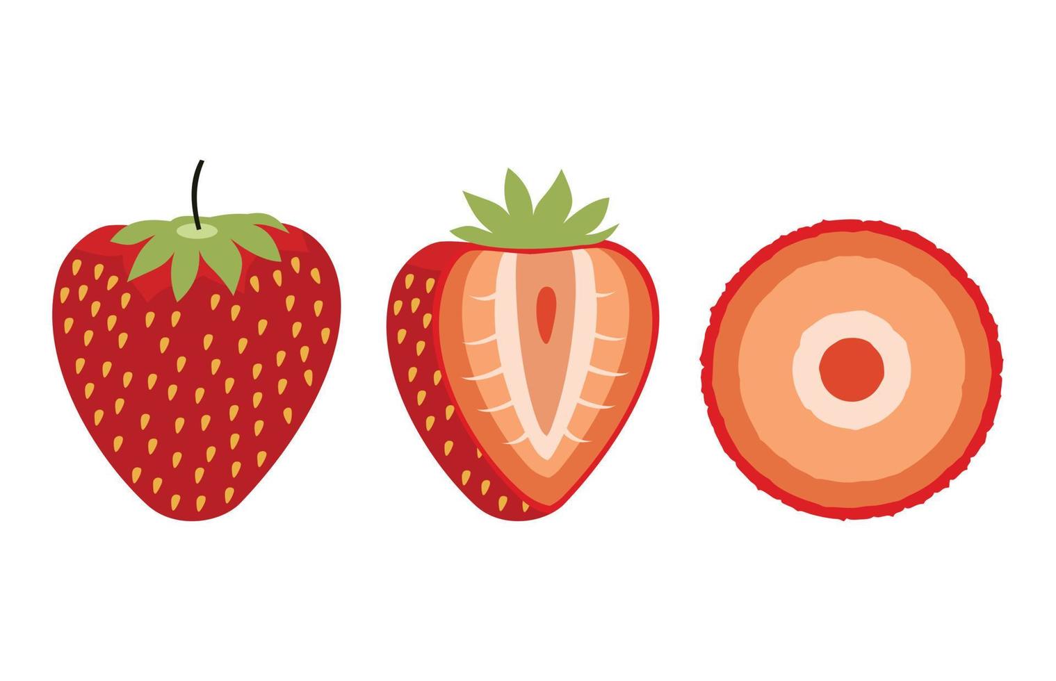Strawberry fruit slice icon illustration vector