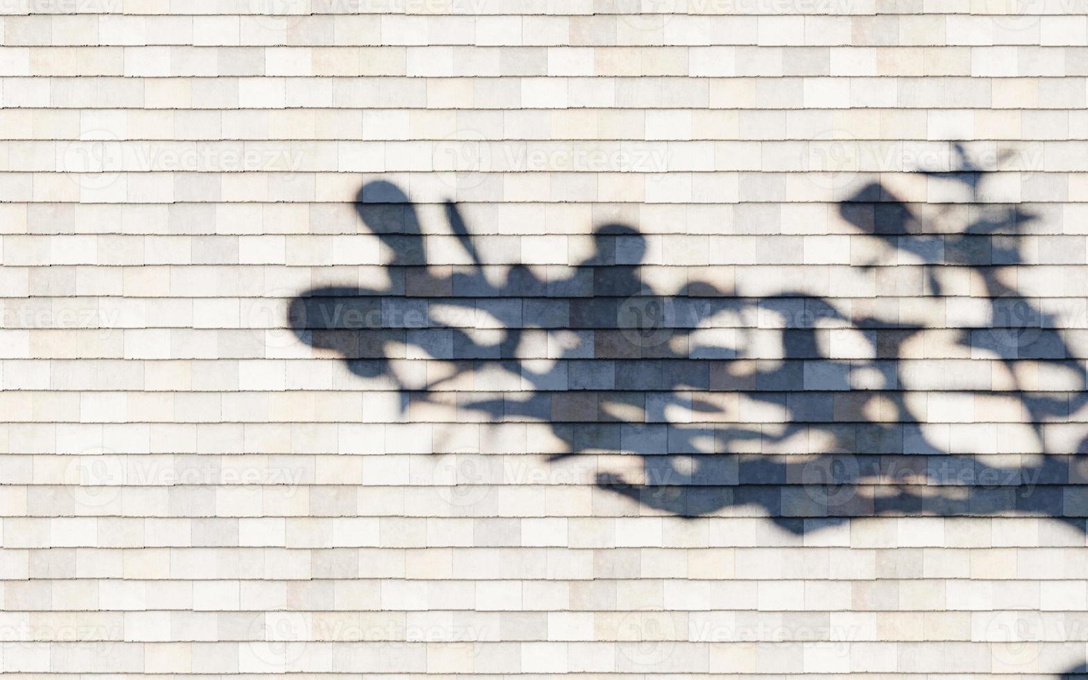 wall texture shadow tree background abstract design sunlight photo