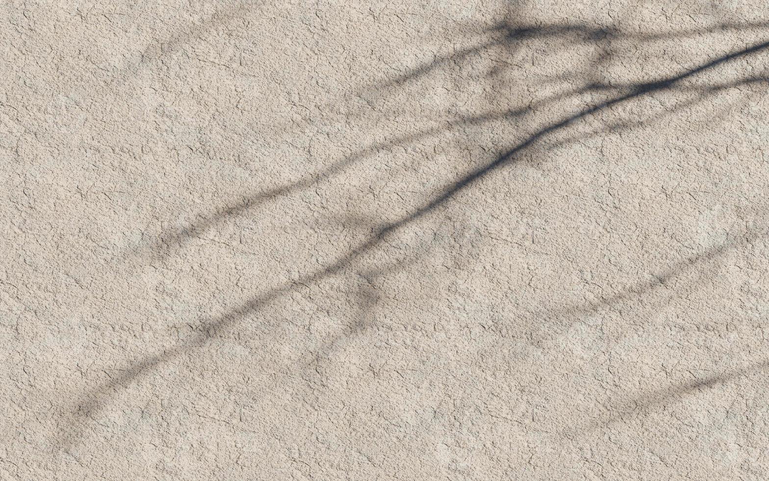 wall texture shadow tree background abstract design sunlight photo