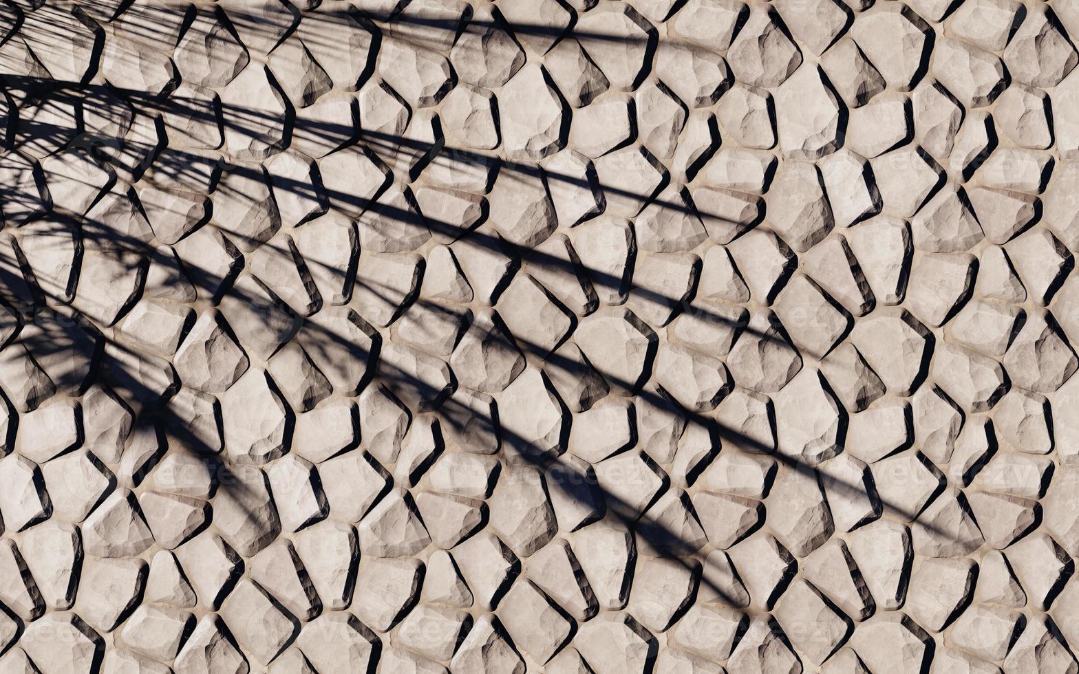 wall texture shadow tree background abstract design sunlight photo