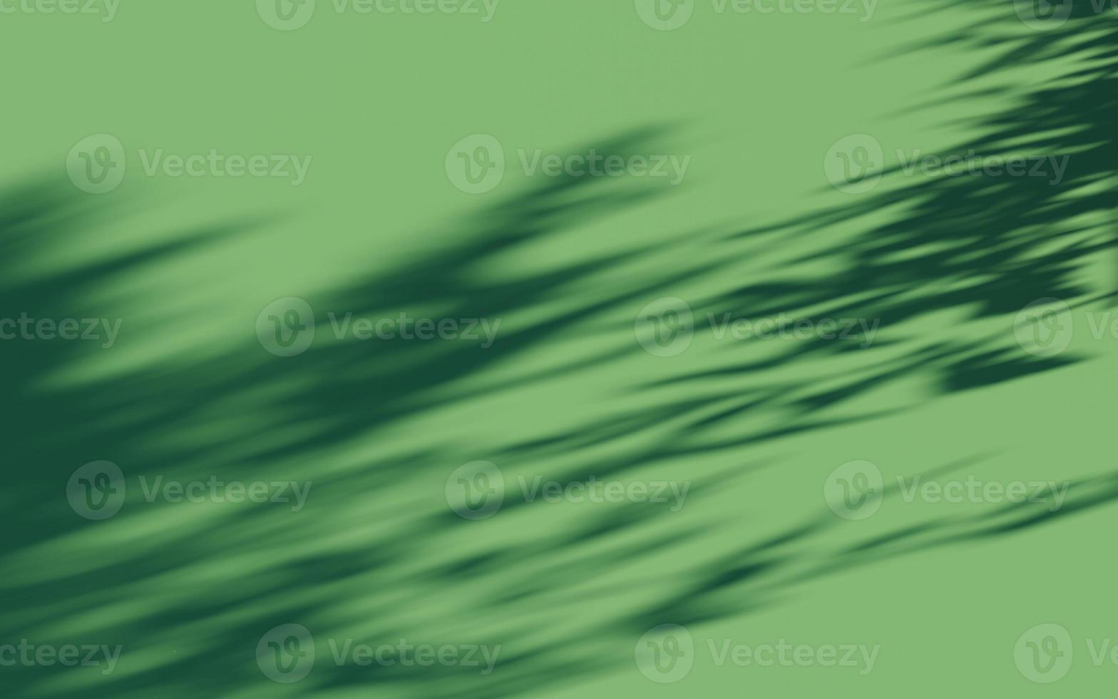 wall texture shadow tree background abstract design sunlight photo