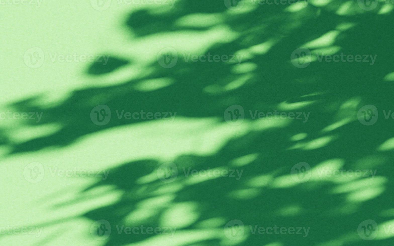 wall texture shadow tree background abstract design sunlight photo