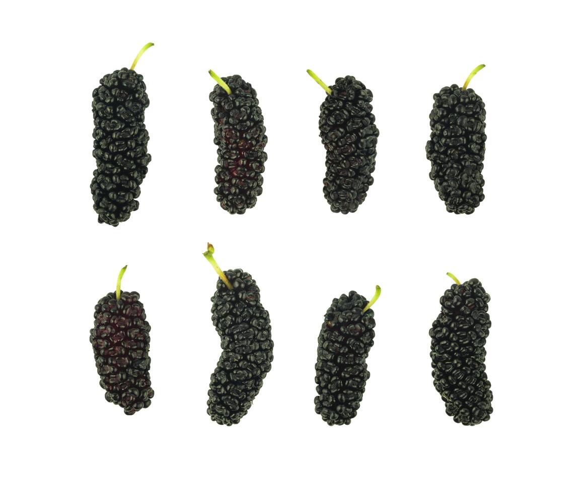 set of mulberry fruit photo