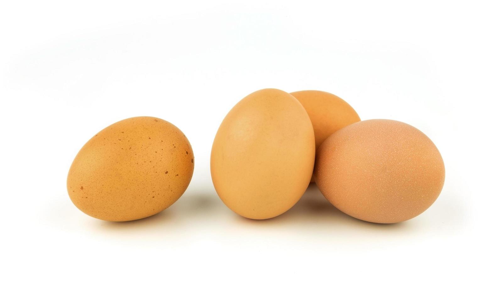 huevo marrón sobre fondo blanco foto