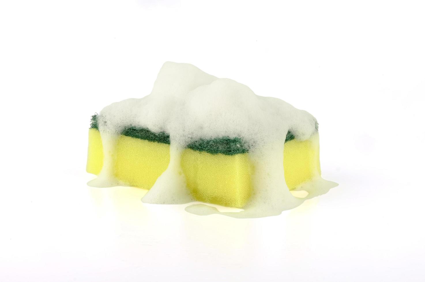 soapy sponge full of white foam photo