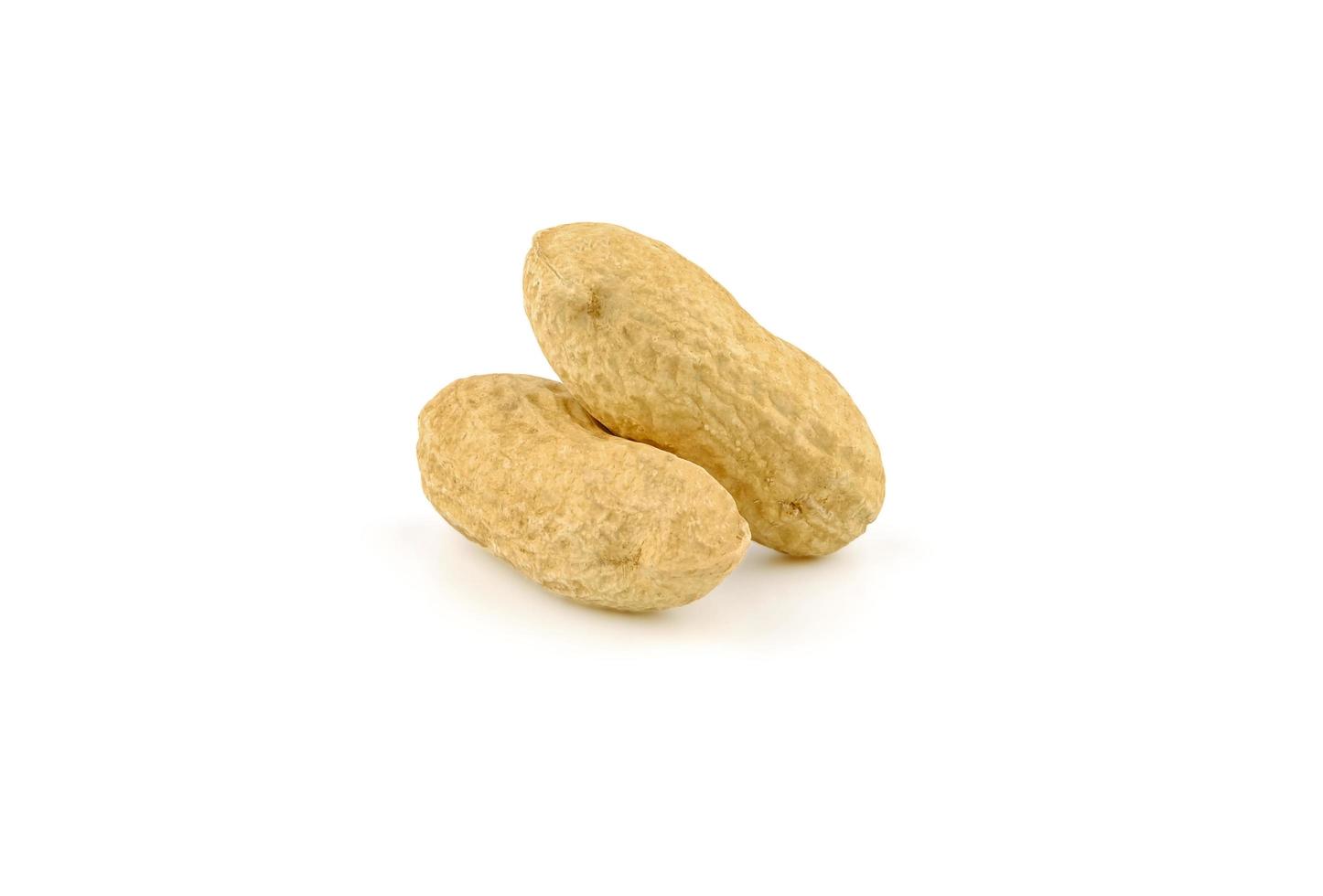 close up peanut on white background photo