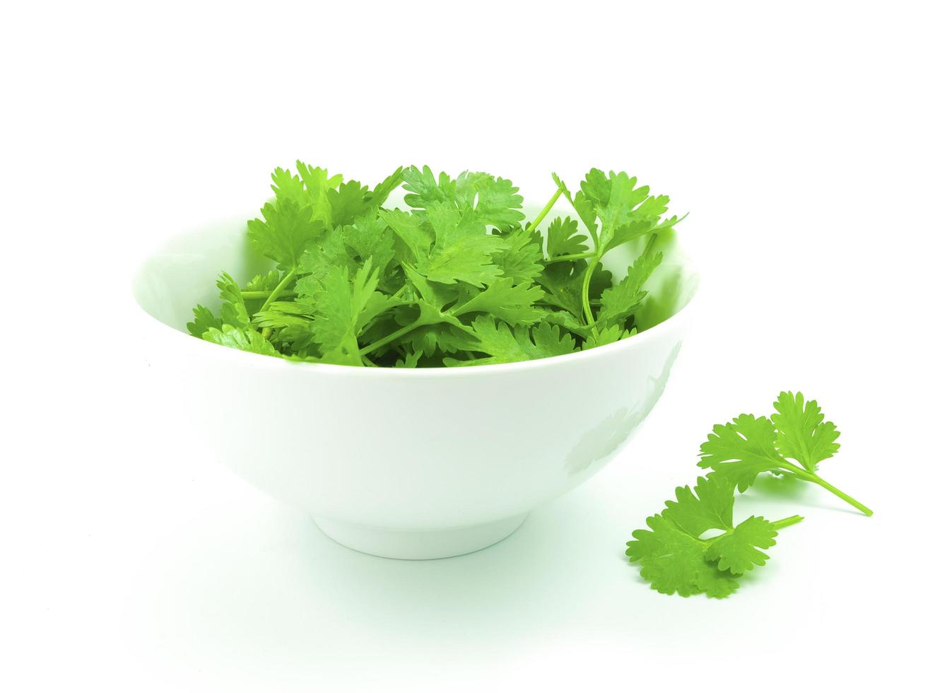 fresh coriander in white bowl photo