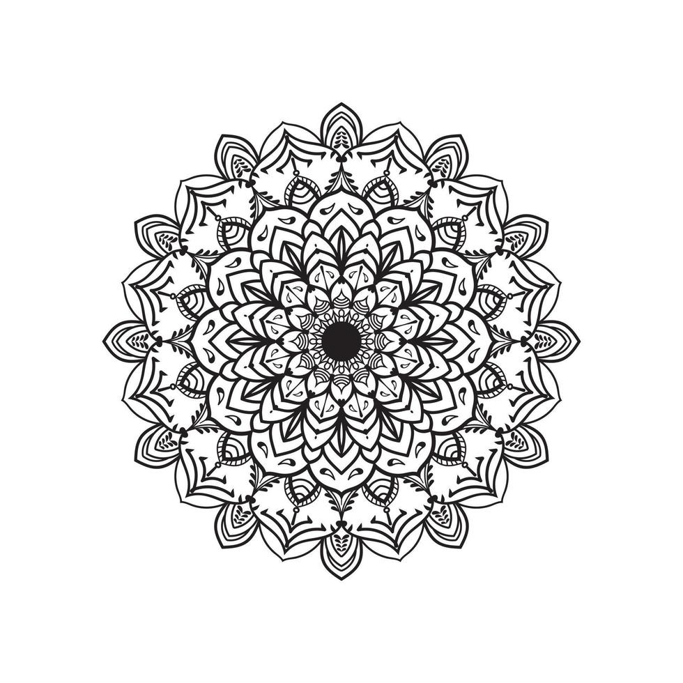 mandala with floral shapes vector