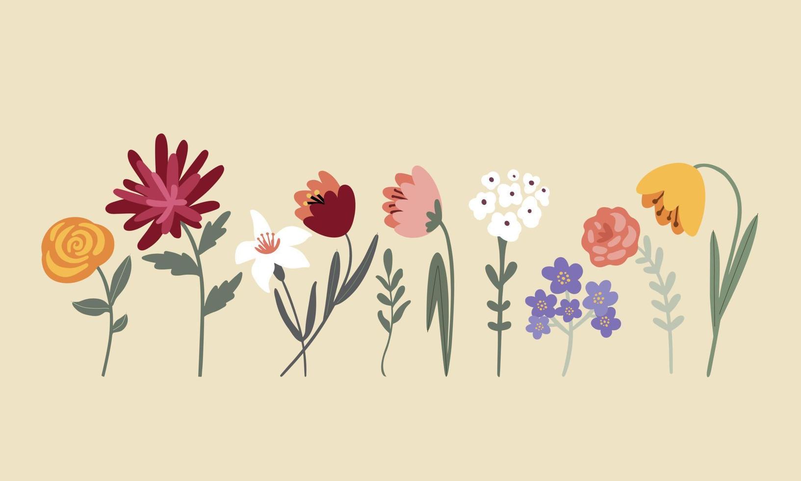 Set of garden flowers on a light background, vector illustration.