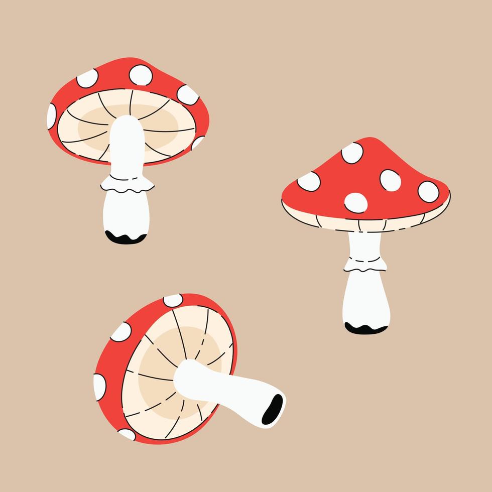 Set of fly agaric mushrooms vector drawings, freehand illustrations in flat style.