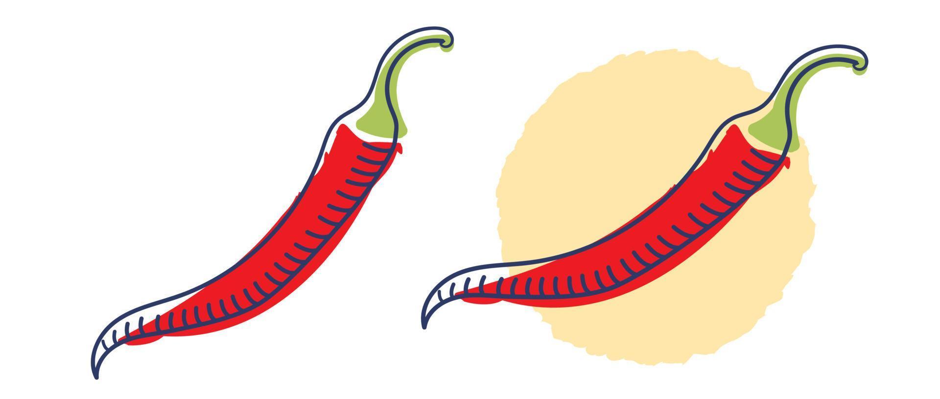 Vector set chilli peppers in vintage style