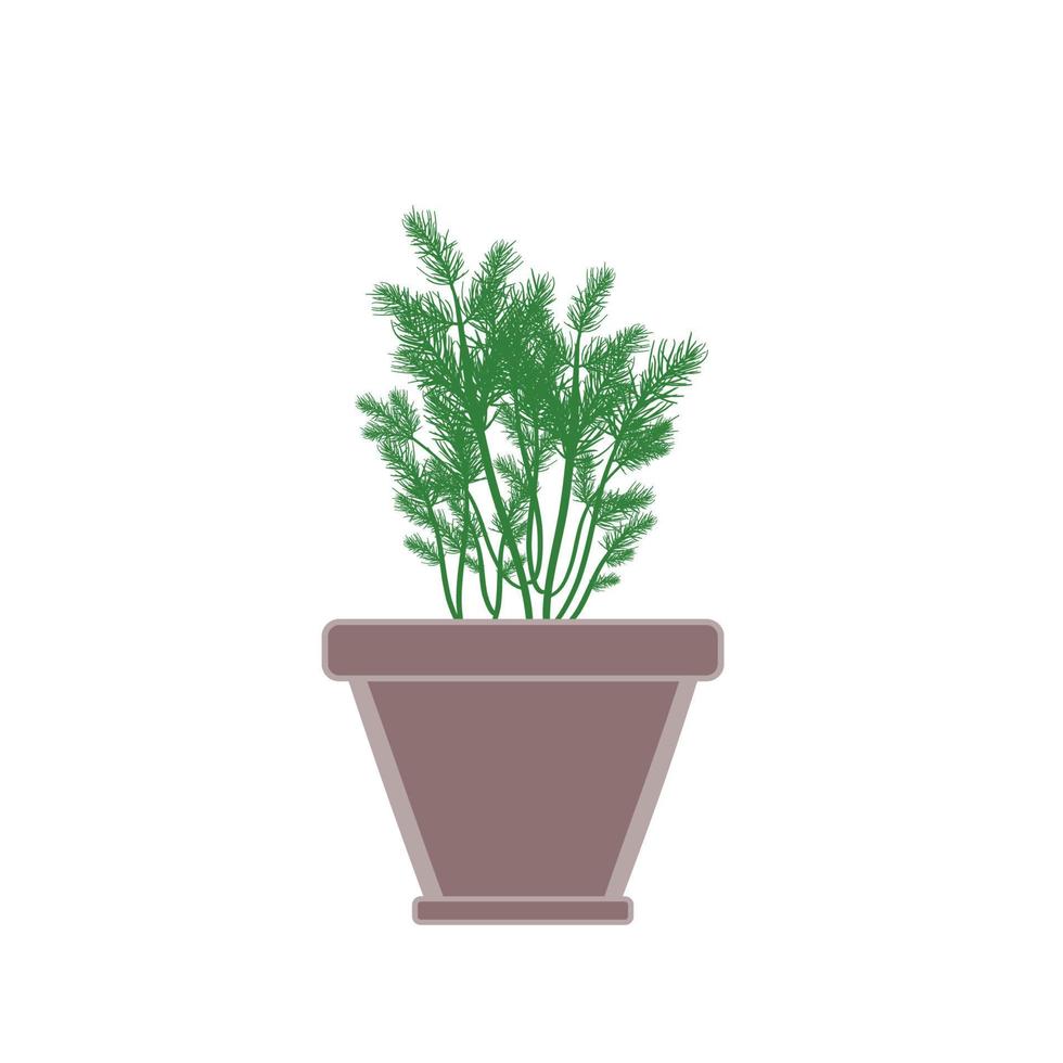 Dill herb in clay pot vector