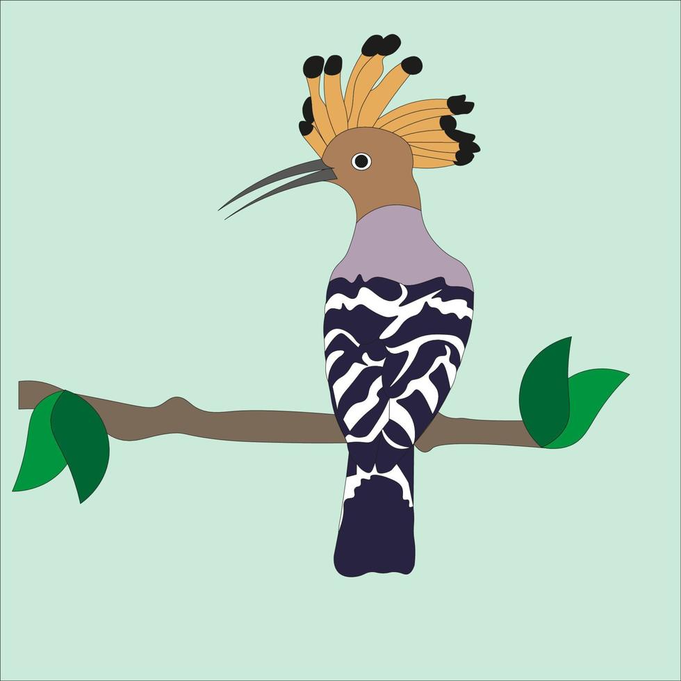 illustration Hudhud bird including the woodpecker species vector