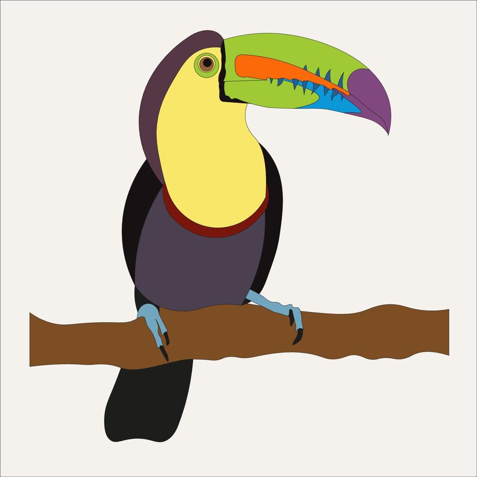 illustration The Keel-billed Toucan is a beautiful bird that lives in the forests of Central and South America vector