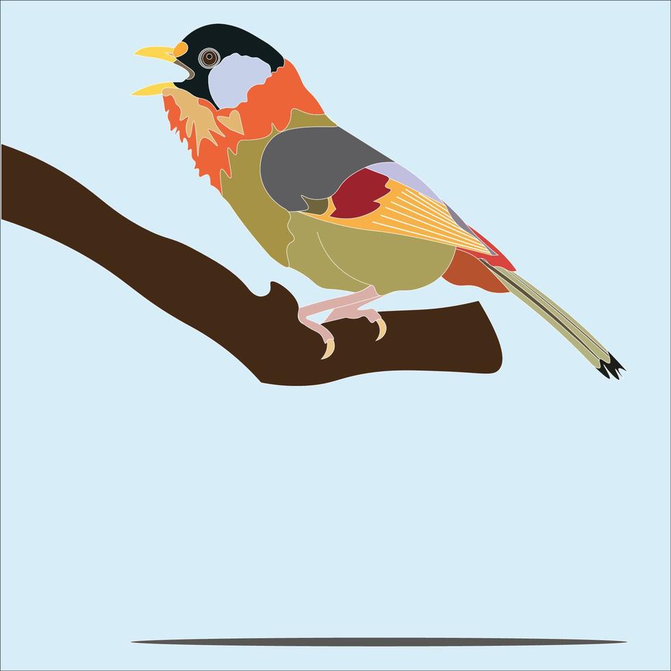 bird illustration The silver-eared Mesia is a species of bird in the family Timaliidae which is characterized by silver plumage on the side of the head vector