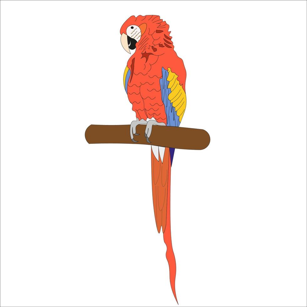 ilustración de un escarlata guacamayo pájaro ese tiene un hermosa plumaje color vector