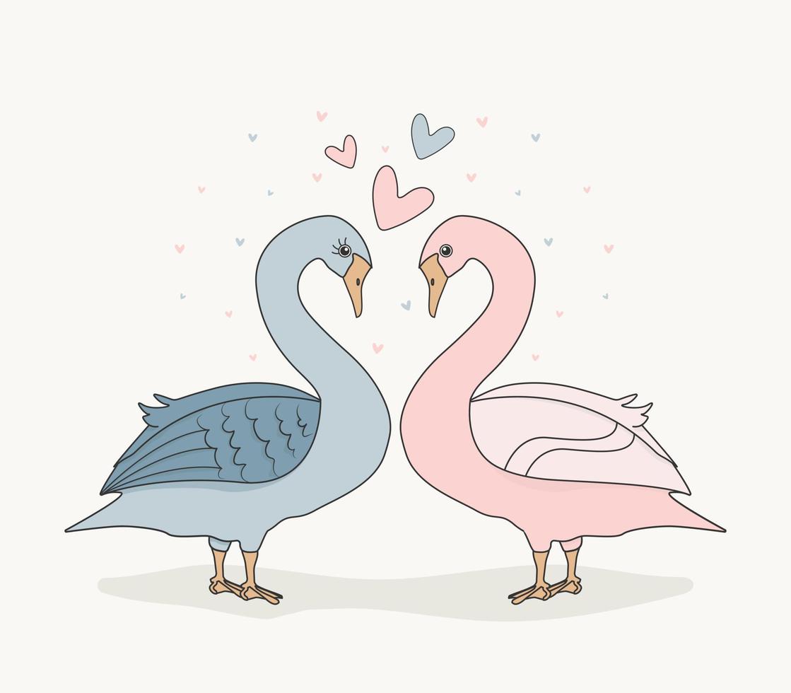 Romantic goose and duck isolated vector. Cute valentine day design for prints. Vector illustration in cartoon style.